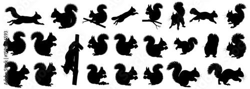 Squirrel silhouettes collection showing various poses such as sitting, eating, climbing and jumping squirrels