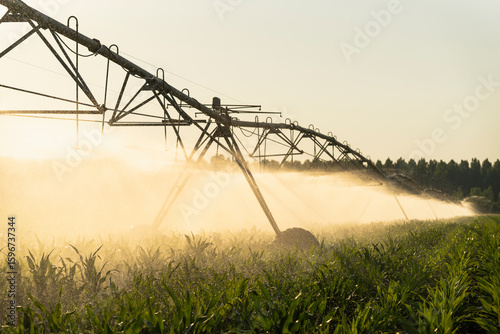 Tableau sur toile Agricultural watering pivot irrigation system on a corn field at sunset