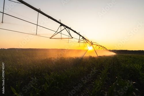 Fototapet Agricultural watering pivot irrigation system on a corn field at sunset