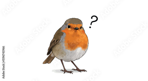 Curious robin with question mark on white background