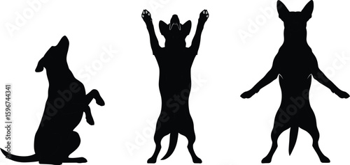 Cad drawing flat vector illustration of three dog silhouettes performing different tricks on hind legs, black and white minimal styleCad drawing flat vector illustration of three dog silhouettes 