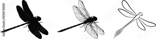 Cad drawing flat vector illustration of dragonfly insect silhouette, realistic detail sketch, and minimal line art, black and white style
