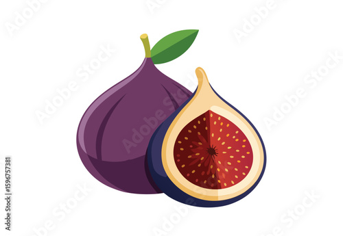 Fresh fig fruit vector illustration isolated for clipart design, organic food drawing