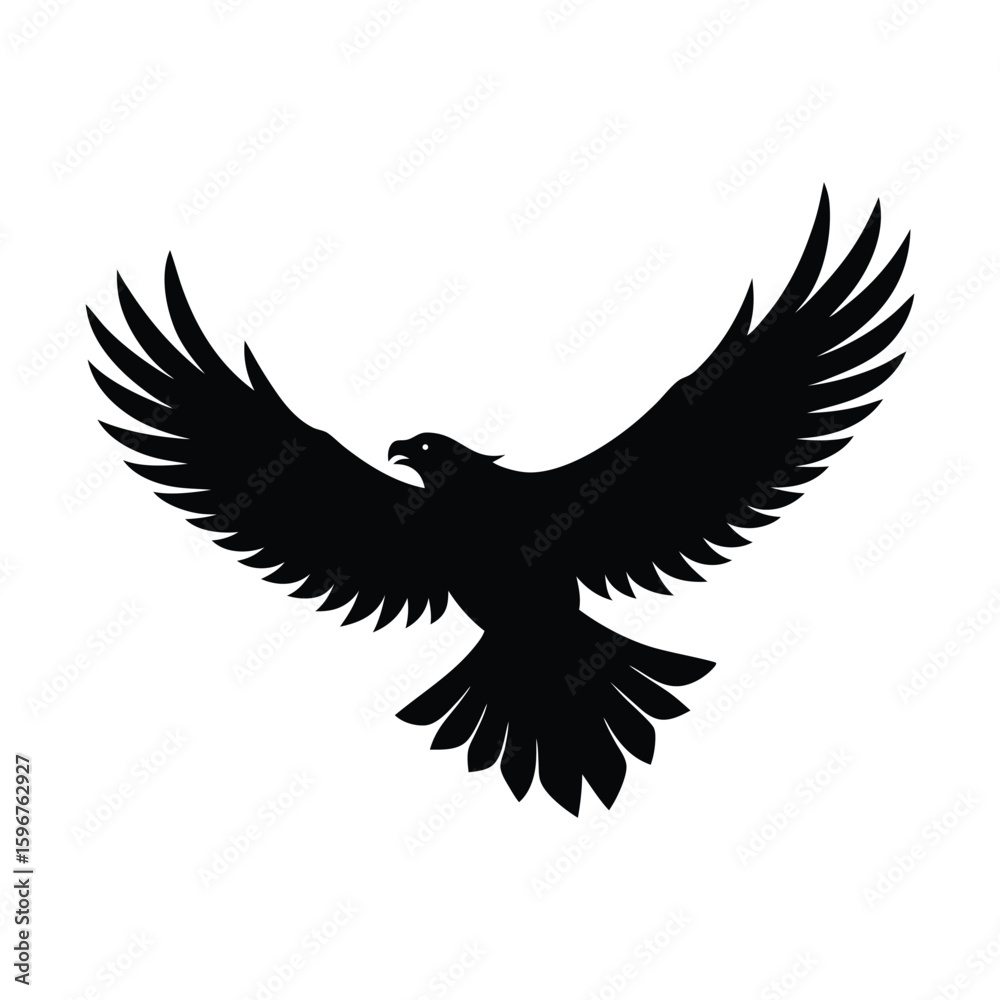 Obraz premium eagle in flight