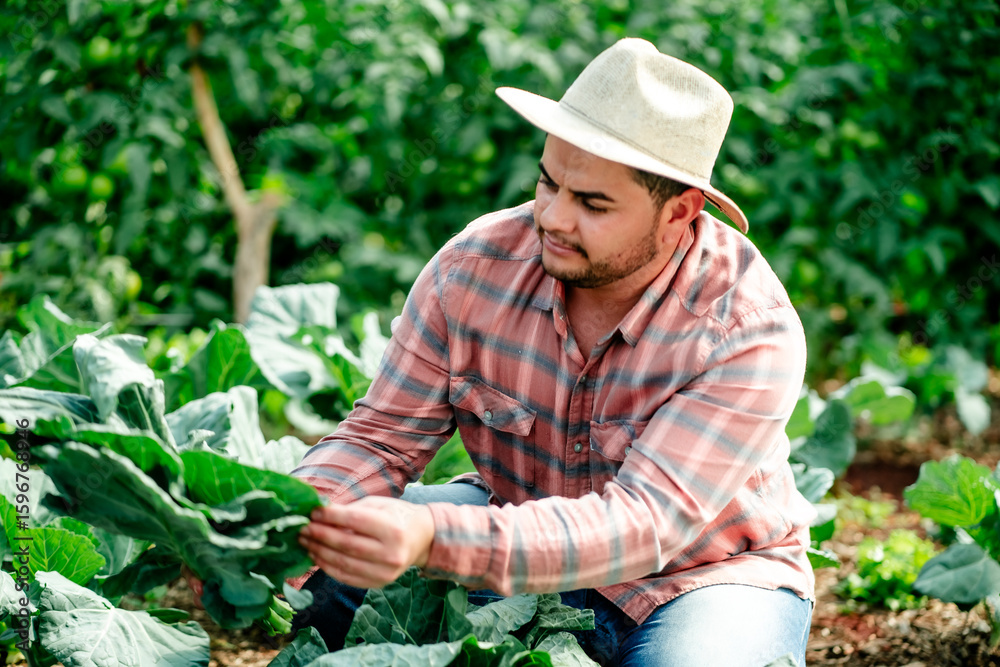 Fototapeta premium Latin American Farmer Tending to Crops in Lush Green Field