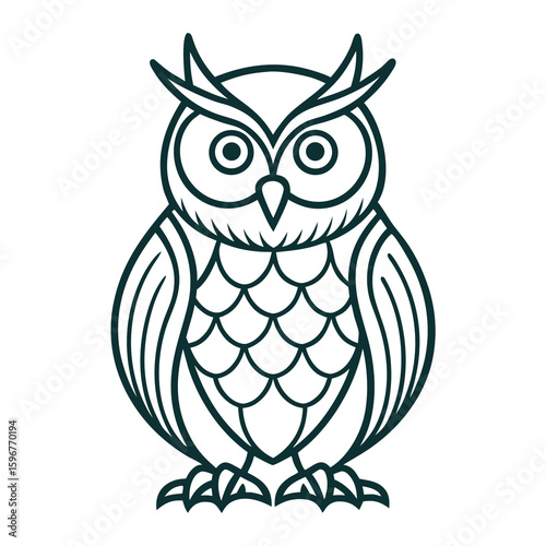 owl on white background