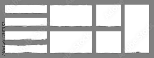 Torn paper sheet vector. A collection of diverse ripped paper fragments in various shapes and sizes with realistic shadows for design element.