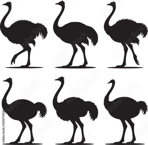 Ostrich silhouette vector bundle, emu bird vector