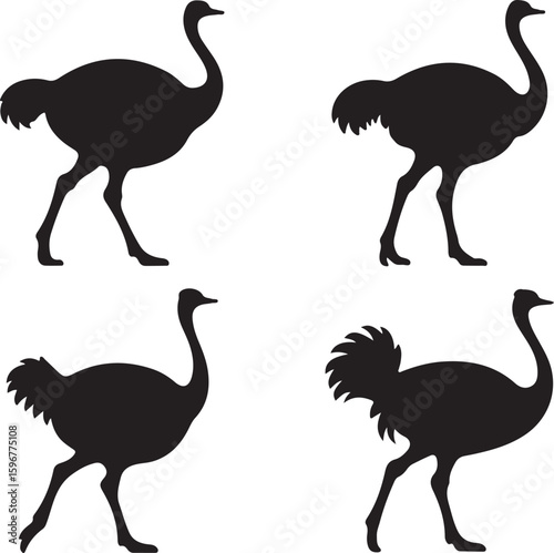 Set of Black Ostrich Silhouettes in Various Poses, emu bird silhouette vector bundle