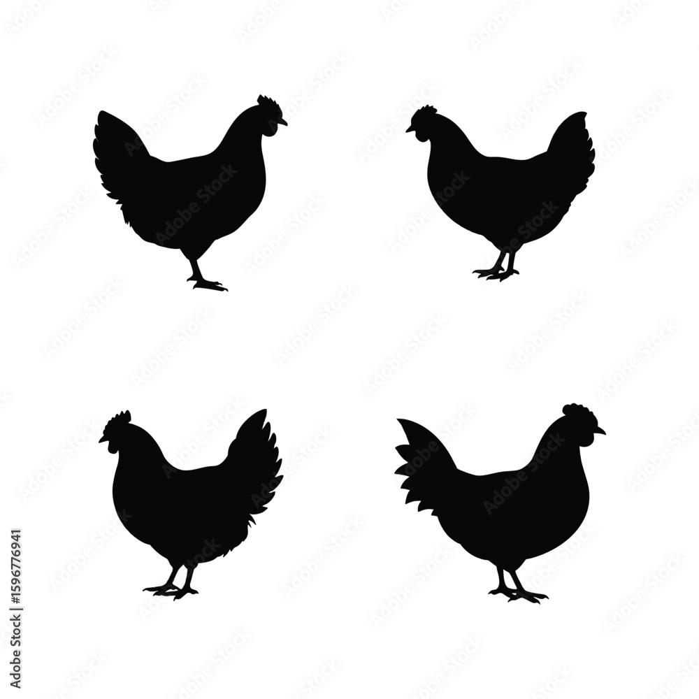 Fototapeta premium Chicken Silhouette Vector Set – Black Hen Animal Icons Isolated on White Background