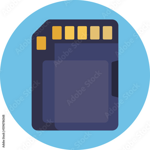 Small removable card that stores camera images and media files.