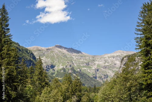 Beautiful view of mountain range through trees in a forest
