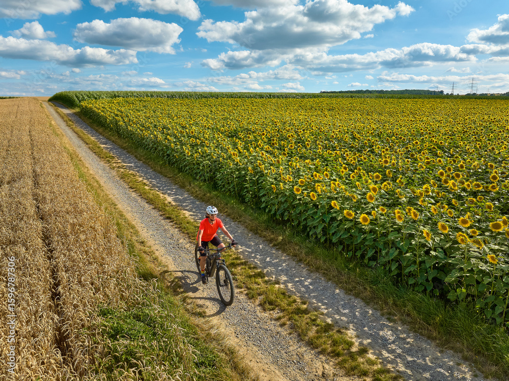 Fototapeta premium nice and active senior woman cycling with her electric mountain bike between field of blooming sunflowers an gold wheat, Stuttgart, Germany