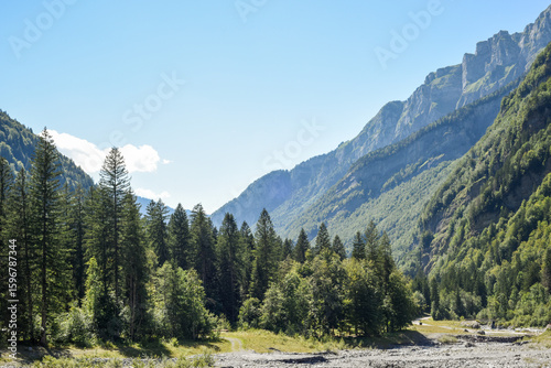 Beautiful view of mountain range through trees in a forest