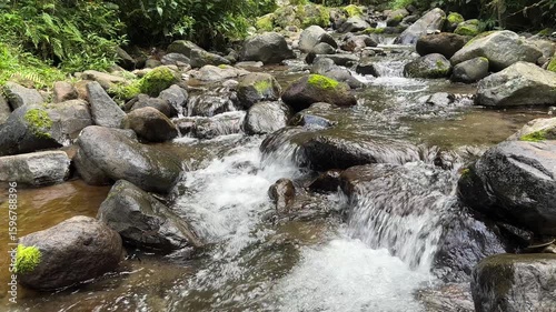 Clean mountain river water flowing between rugged rocky shores in pristine nature. Scenic mountain river flowing through lush green forest on a sunny summer day. Surface of the river water is clear.