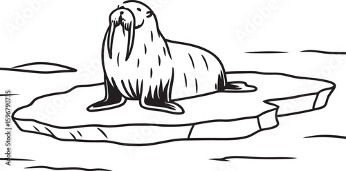 polar bear on the beach