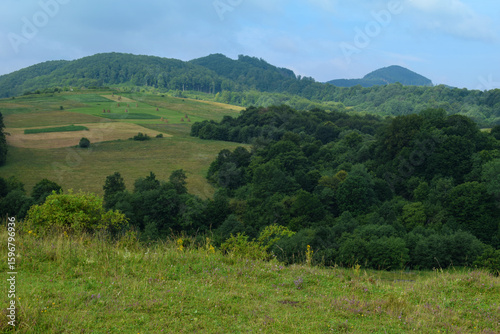 Distant view of green mountain hills and valley with cloudy sky and forest vegetation captured in natural daylight for landscape design or eco travel background use