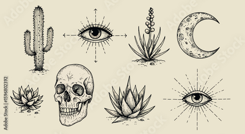 Vintage botanical and occult sketches: cactus, skull, moon, eye