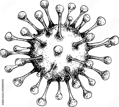 Black and white drawing of a virus with detailed spikes, scientific illustration. Vector illustration