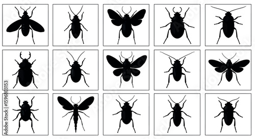 Insect silhouette collection: butterflies, beetles, and more