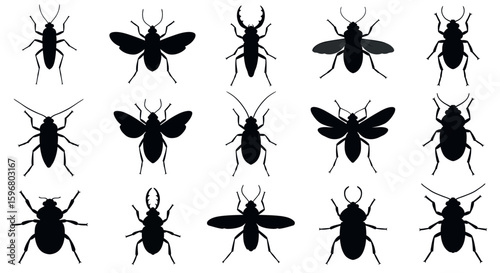 Silhouette collection of various insects in minimalist design