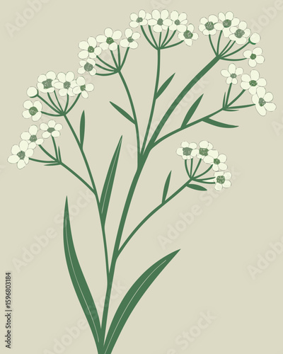 Green stems and white flowers on beige background floral