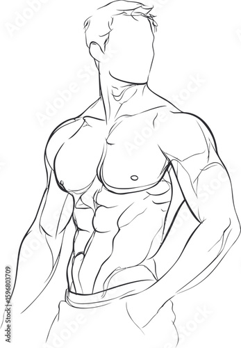 Line drawing of a male torso with defined muscles in a relaxed pose. Vector illustration