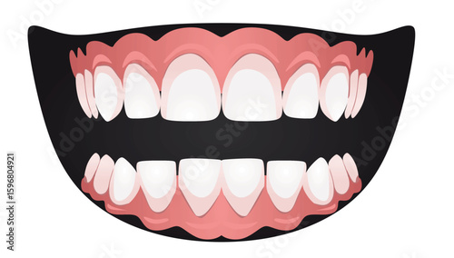 White teeth isolated. vector illustration