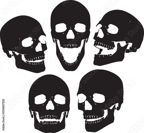 Black human skulls in various perspectives white