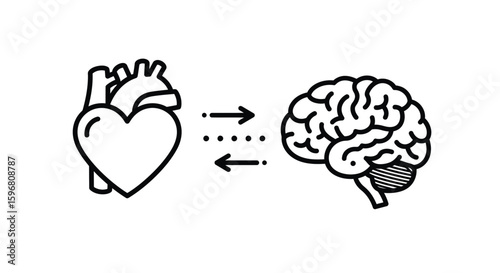 A minimalist vector illustration of the connection between heart and brain
