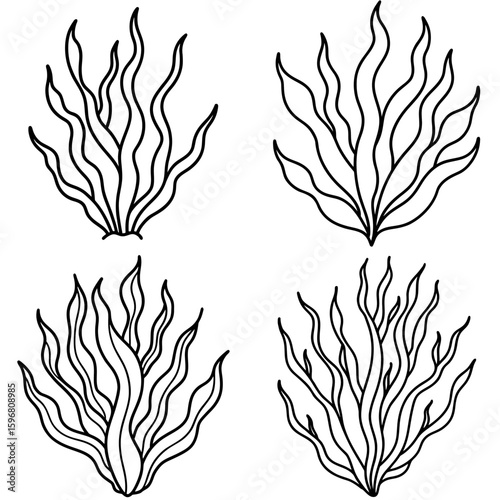 Seaweed or Plant Coloring Page – Underwater Seaweed Outline for Kids