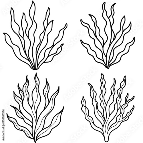 Seaweed or Plant Coloring Page – Underwater Seaweed Outline for Kids