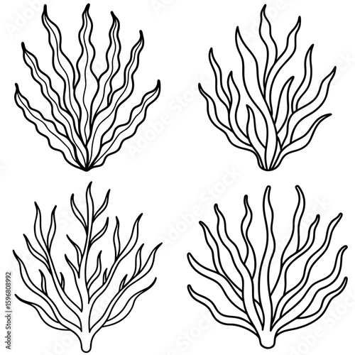 Seaweed or Plant Coloring Page – Underwater Seaweed Outline for Kids