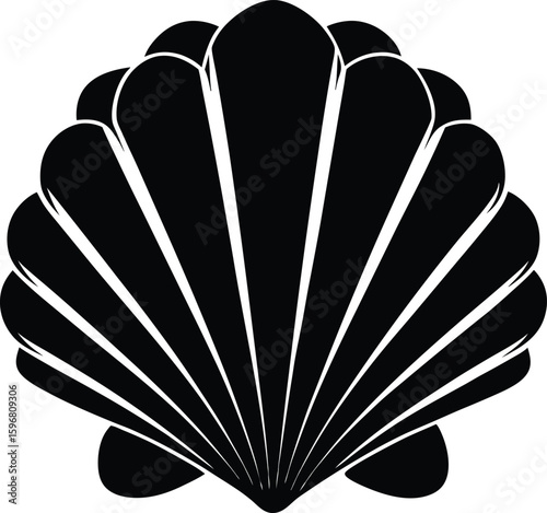 Elegant seashell silhouette illustration perfect for coastal decor marine themes and beach inspired designs featuring a detailed and sophisticated outline