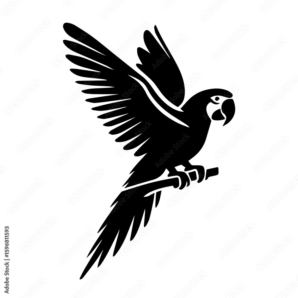 Fototapeta premium vector illustration of an Parrot