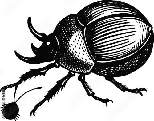 Black and white drawing of a dung beetle pushing a ball isolated on transparent background