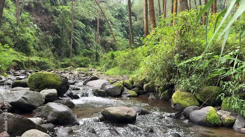 Clean mountain river water flowing between rugged rocky shores in pristine nature. Scenic mountain river flowing through lush green forest on a sunny summer day. Surface of the river water is clear.