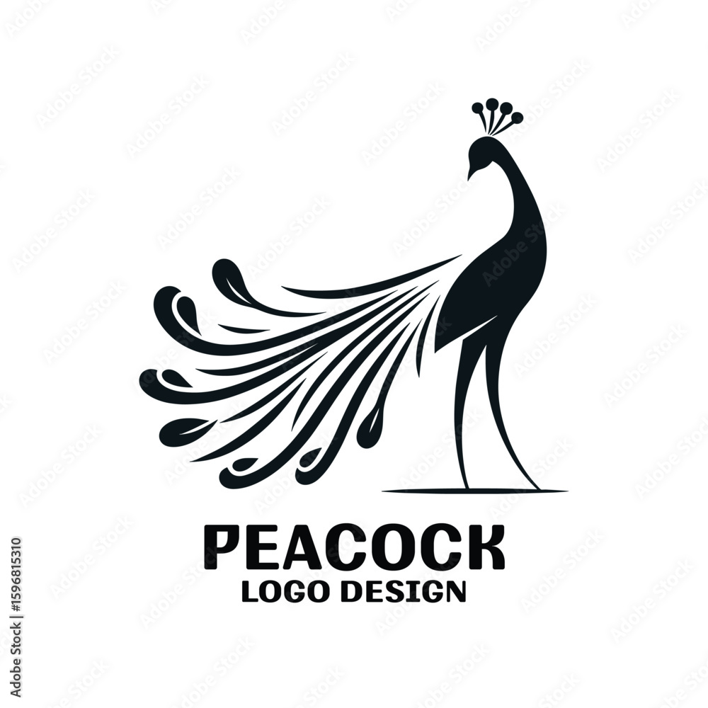Obraz premium Peacock Vector Logo Design 