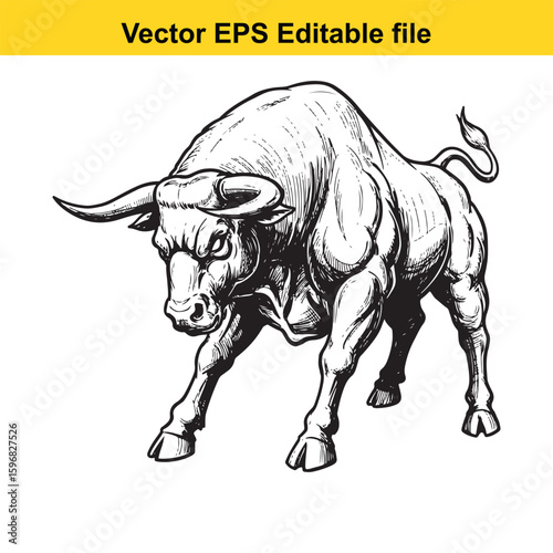 Powerful bull with large horns on white background