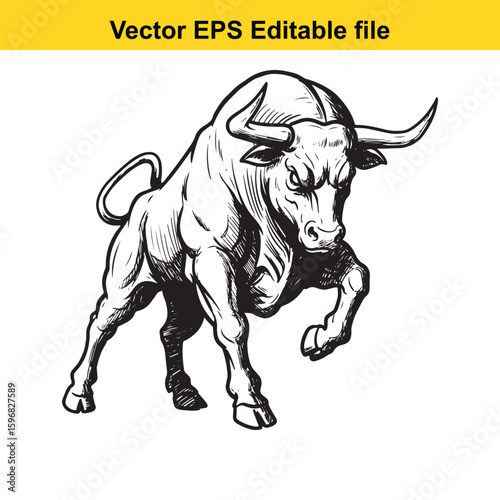 A powerful bull charges forward with aggressive intent