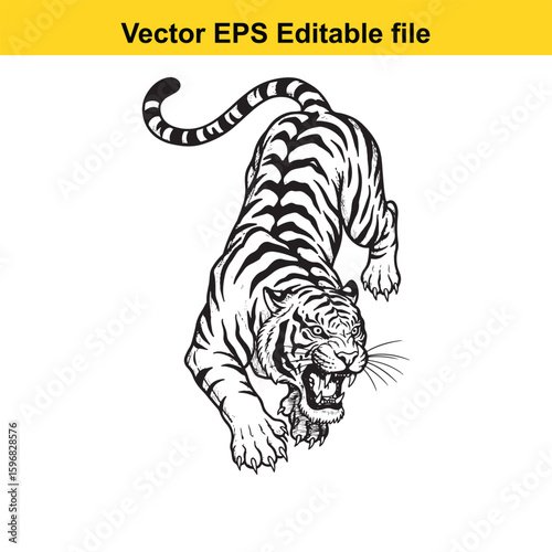 A fierce tiger stalks forward with its mouth open