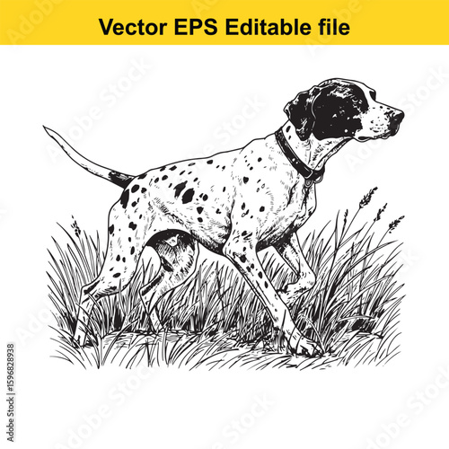 Dalmatian pointer dog running in grass, vector illustration