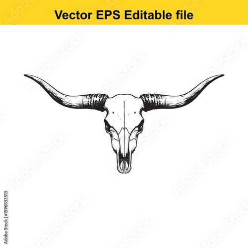 Detailed drawing of a bull skull with long horns isolated on white