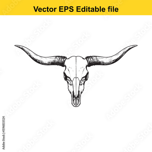 A detailed sketch of a bull skull with long horns