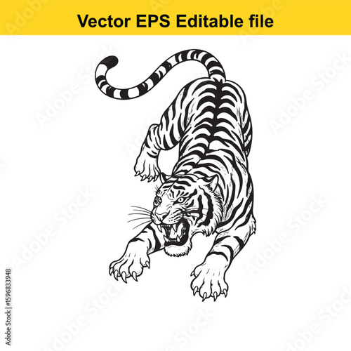 A fierce tiger illustration, isolated on white background
