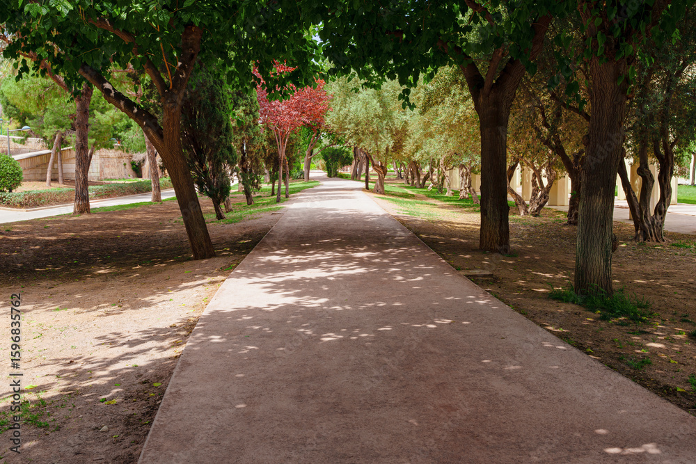 Fototapeta premium Shaded Tree Pathway in Turia Gardens Valencia