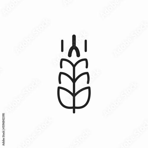 grain wheat icon sign vector