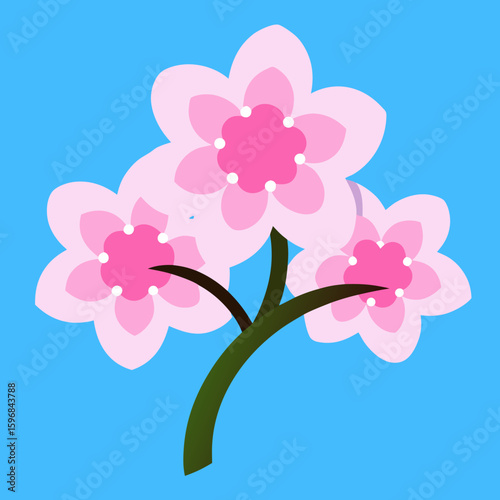 Pink orchid flower