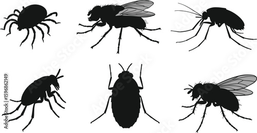 Silhouettes of insects and arachnids for pest control, entomology reference