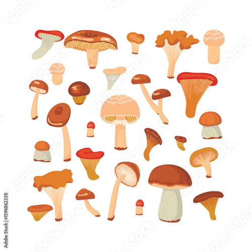 Forest mushrooms set. Cartoon plants of different shapes and sizes. Brown, beige, grey colors on white background. Print on fabric and paper. Vector design for autumn season. Woodland harvest.